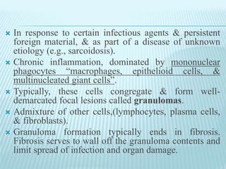  In response to certain infectious agents & persistent
foreign material, & as part of a disease of unknown
etiology (e.g., sarcoidosis).
 Chronic inflammation, dominated by mononuclear
phagocytes “macrophages, epithelioid cells, &
multinucleated giant cells”.
 Typically, these cells congregate & form well-
demarcated focal lesions called granulomas.
 Admixture of other cells,(lymphocytes, plasma cells,
& fibroblasts).
 Granuloma formation typically ends in fibrosis.
Fibrosis serves to wall off the granuloma contents and
limit spread of infection and organ damage.
 
