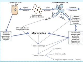 Pulmonary defense mechanisms