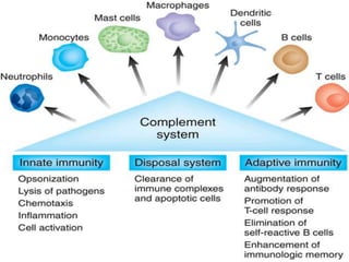 Pulmonary defense mechanisms