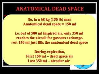 ANATOMICAL DEAD SPACE
 Gas in the conducting areas of the
respiratory passage, where no
gaseous exchange occurs.
 Volume of air from nose to
terminal bronchiole.
 Approximately equal to the body
weight in pounds.
So, in a 68 kg (150 lb) manSo, in a 68 kg (150 lb) man
Anatomical dead space = 150 mlAnatomical dead space = 150 ml
i.e. out of 500 ml inspired air, only 350 mli.e. out of 500 ml inspired air, only 350 ml
reaches the alveoli for gaseous exchange.reaches the alveoli for gaseous exchange.
rest 150 ml just fills the anatomical dead spacerest 150 ml just fills the anatomical dead space
During expiration,During expiration,
First 150 ml – dead space airFirst 150 ml – dead space air
Last 350 ml – alveolar airLast 350 ml – alveolar air
 