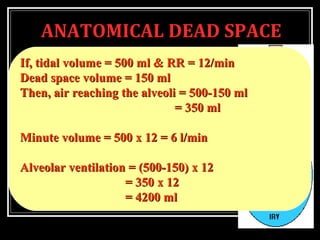 ANATOMICAL DEAD SPACE
 Alveolar ventilation (amount of air
reaching the alveoli per min) is less
than the respiratory minute volume.
If, tidal volume = 500 ml & RR = 12/minIf, tidal volume = 500 ml & RR = 12/min
Dead space volume = 150 mlDead space volume = 150 ml
Then, air reaching the alveoli = 500-150 mlThen, air reaching the alveoli = 500-150 ml
= 350 ml= 350 ml
Minute volume = 500 x 12 = 6 l/minMinute volume = 500 x 12 = 6 l/min
Alveolar ventilation = (500-150) x 12Alveolar ventilation = (500-150) x 12
= 350 x 12= 350 x 12
= 4200 ml= 4200 ml
 