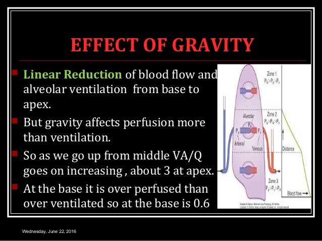 PULMONARY DIFFUSION