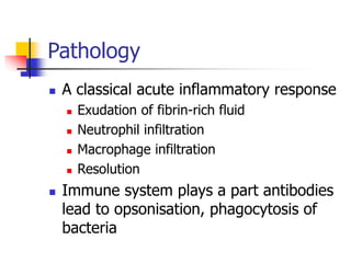 Pathology
 A classical acute inflammatory response
 Exudation of fibrin-rich fluid
 Neutrophil infiltration
 Macrophage infiltration
 Resolution
 Immune system plays a part antibodies
lead to opsonisation, phagocytosis of
bacteria
 