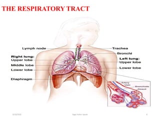 6
THE RESPIRATORY TRACT
6/19/2016 Sagar kishor Savale
 