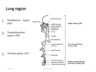 Lung region
9
1. Nasopharynx region:
(NP)
2. Tracheobronchial
region: (TB)
3. Alveolar region: (AV)
6/19/2016 Sagar kishor Savale
 