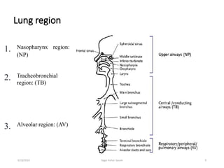 Lung region
9
1. Nasopharynx region:
(NP)
2. Tracheobronchial
region: (TB)
3. Alveolar region: (AV)
6/19/2016 Sagar kishor...