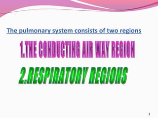 The pulmonary system consists of two regions




                                               3
 