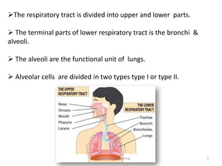 The respiratory tract is divided into upper and lower parts.
 The terminal parts of lower respiratory tract is the bronchi &
alveoli.
 The alveoli are the functional unit of lungs.
 Alveolar cells are divided in two types type I or type II.
3pulmonary drug targeting
 