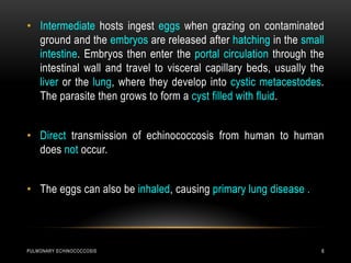 PULMONARY ECHINOCOCCOSIS 6
• Intermediate hosts ingest eggs when grazing on contaminated
ground and the embryos are released after hatching in the small
intestine. Embryos then enter the portal circulation through the
intestinal wall and travel to visceral capillary beds, usually the
liver or the lung, where they develop into cystic metacestodes.
The parasite then grows to form a cyst filled with fluid.
• Direct transmission of echinococcosis from human to human
does not occur.
• The eggs can also be inhaled, causing primary lung disease .
 