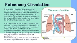 Pulmonary Circulation
The pulmonary circulation is a division of the
circulatory system in all vertebrates. The circuit
begins with deoxygenated blood returned from the
body to the right atrium of the heart where it is
pumped out from the right ventricle to the lungs. In
the lungs the blood is oxygenated and returned to
the left atrium to complete the circuit.
The other division of the circulatory system is the
systemic circulation that begins with receiving the
oxygenated blood from the pulmonary circulation
into the left atrium. From the atrium the
oxygenated blood enters the left ventricle where it
is pumped out to the rest of the body, returning as
deoxygenated blood back to the pulmonary
circulation.
The blood vessels of the pulmonary circulation are
the pulmonary arteries and the pulmonary veins
 
