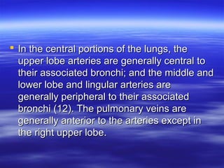  In the cceennttrraall ppoorrttiioonnss ooff tthhee lluunnggss,, tthhee 
uuppppeerr lloobbee aarrtteerriieess aarree ggeenneerraallllyy cceennttrraall ttoo 
tthheeiirr aassssoocciiaatteedd bbrroonncchhii;; aanndd tthhee mmiiddddllee aanndd 
lloowweerr lloobbee aanndd lliinngguullaarr aarrtteerriieess aarree 
ggeenneerraallllyy ppeerriipphheerraall ttoo tthheeiirr aassssoocciiaatteedd 
bbrroonncchhii ((1122)).. TThhee ppuullmmoonnaarryy vveeiinnss aarree 
ggeenneerraallllyy aanntteerriioorr ttoo tthhee aarrtteerriieess eexxcceepptt iinn 
tthhee rriigghhtt uuppppeerr lloobbee.. 
 