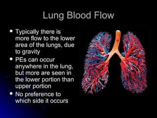 Lung Blood FlowLung Blood Flow
 Typically there isTypically there is
more flow to the lowermore flow to the lower
area of the lungs, duearea of the lungs, due
to gravityto gravity
 PEs can occurPEs can occur
anywhere in the lung,anywhere in the lung,
but more are seen inbut more are seen in
the lower portion thanthe lower portion than
upper portionupper portion
 No preference toNo preference to
which side it occurswhich side it occurs
 