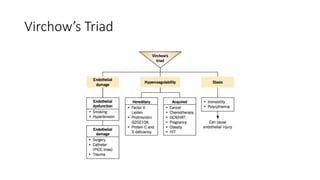 Virchow’s Triad
 