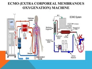 PULMONARY EMBOLISM - DISORDER OF RESPIRATORY SYSTEM (AHN I).pptx