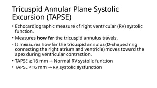 Tricuspid Annular Plane Systolic
Excursion (TAPSE)
• Echocardiographic measure of right ventricular (RV) systolic
function.
• Measures how far the tricuspid annulus travels.
• It measures how far the tricuspid annulus (D-shaped ring
connecting the right atrium and ventricle) moves toward the
apex during ventricular contraction.
• TAPSE 16 mm Normal RV systolic function
≥ →
• TAPSE <16 mm RV systolic dysfunction
→
 