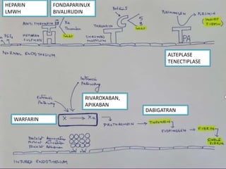 HEPARIN
LMWH
FONDAPARINUX
BIVALIRUDIN
WARFARIN
RIVAROXABAN,
APIXABAN
DABIGATRAN
ALTEPLASE
TENECTIPLASE
 