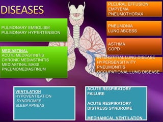 PLEURAL EFFUSION
EMPYEMA
PNEUMOTHORAX
PNEUMONIA
LUNG ABCESS
ACUTE RESPIRATORY
FAILURE
ACUTE RESPIRATORY
DISTRESS SYNDROME
MECHANICAL VENTILATION
PULMONARY EMBOLISM
PULMONARY HYPERTENSION
VENTILATION
HYPOVENTILATION
SYNDROMES
SLEEP APNEAS
MEDIASTINAL
ACUTE MEDIASTINITIS
CHRONIC MEDIASTINITIS
MEDIASTINAL MASS
PNEUMOMEDIASTINUM
INTERSTITIAL LUNG DISEASE
HYPERSENSITIVITY
PNEUMONITIS
OCCUPATIONAL LUNG DISEASE
ASTHMA
COPD
 