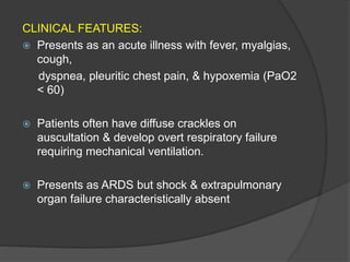 CLINICAL FEATURES:
 Presents as an acute illness with fever, myalgias,
cough,
dyspnea, pleuritic chest pain, & hypoxemia (PaO2
< 60)
 Patients often have diffuse crackles on
auscultation & develop overt respiratory failure
requiring mechanical ventilation.
 Presents as ARDS but shock & extrapulmonary
organ failure characteristically absent
 