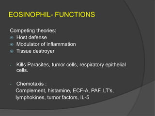EOSINOPHIL- FUNCTIONS
Competing theories:
 Host defense
 Modulator of inflammation
 Tissue destroyer
- Kills Parasites, tumor cells, respiratory epithelial
cells.
- Chemotaxis :
Complement, histamine, ECF-A, PAF, LT’s,
lymphokines, tumor factors, IL-5
 