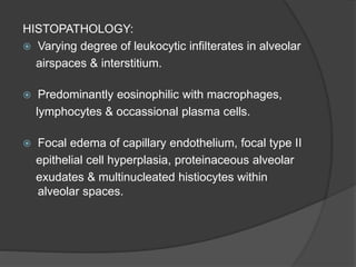 HISTOPATHOLOGY:
 Varying degree of leukocytic infilterates in alveolar
airspaces & interstitium.
 Predominantly eosinophilic with macrophages,
lymphocytes & occassional plasma cells.
 Focal edema of capillary endothelium, focal type II
epithelial cell hyperplasia, proteinaceous alveolar
exudates & multinucleated histiocytes within
alveolar spaces.
 