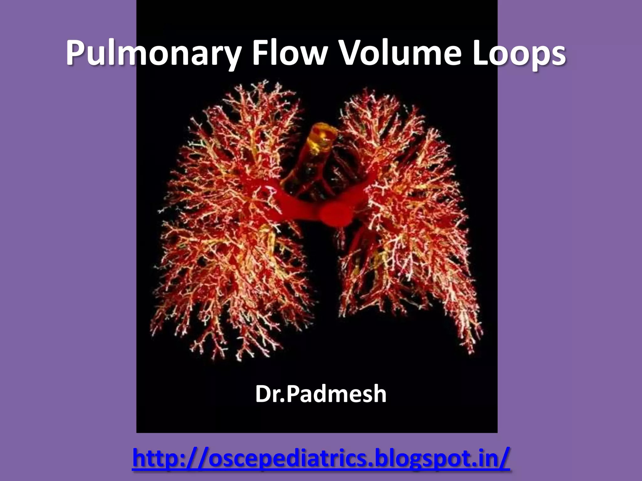 Pulmonary Flow Volume Loops.. Dr.Padmesh PPT