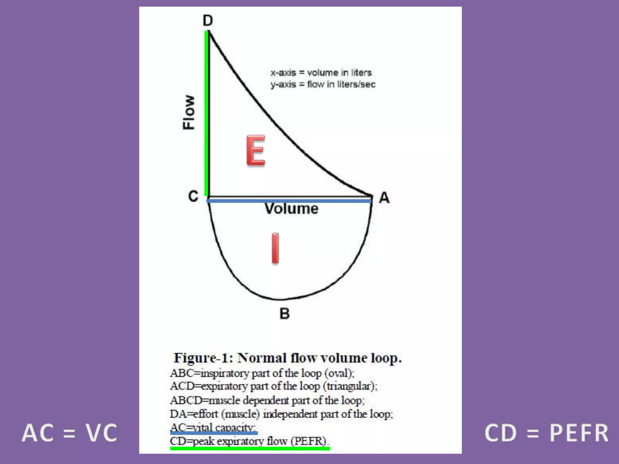 Pulmonary Flow Volume Loops.. Dr.Padmesh PPT