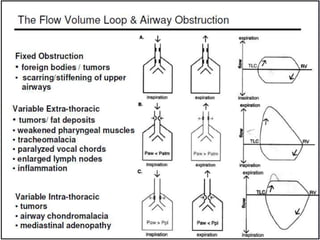 Pulmonary Flow Volume Loops.. Dr.Padmesh | PPTX