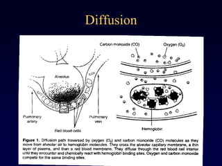 Diffusion
 