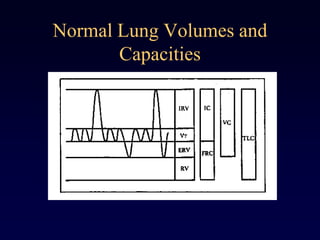 Normal Lung Volumes and
Capacities
 