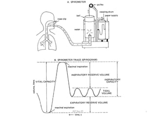 Pulmonary function test | PDF