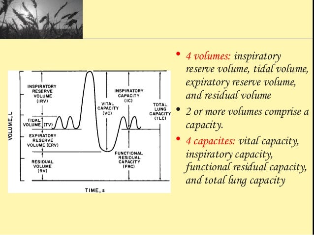 Pulmonary function test
