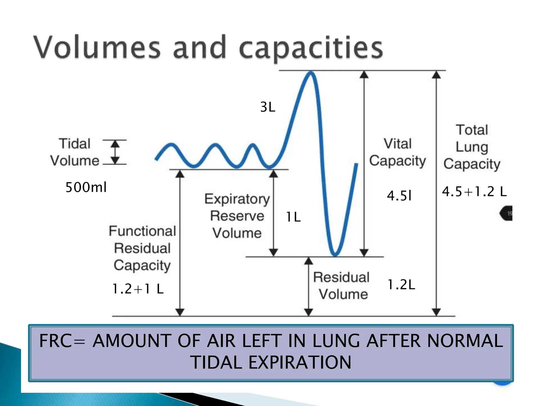 500ml
4.5l
1.2+1 L 1.2L
1L
4.5+1.2 L
3L
FRC= AMOUNT OF AIR LEFT IN LUNG AFTER NORMAL
TIDAL EXPIRATION
 