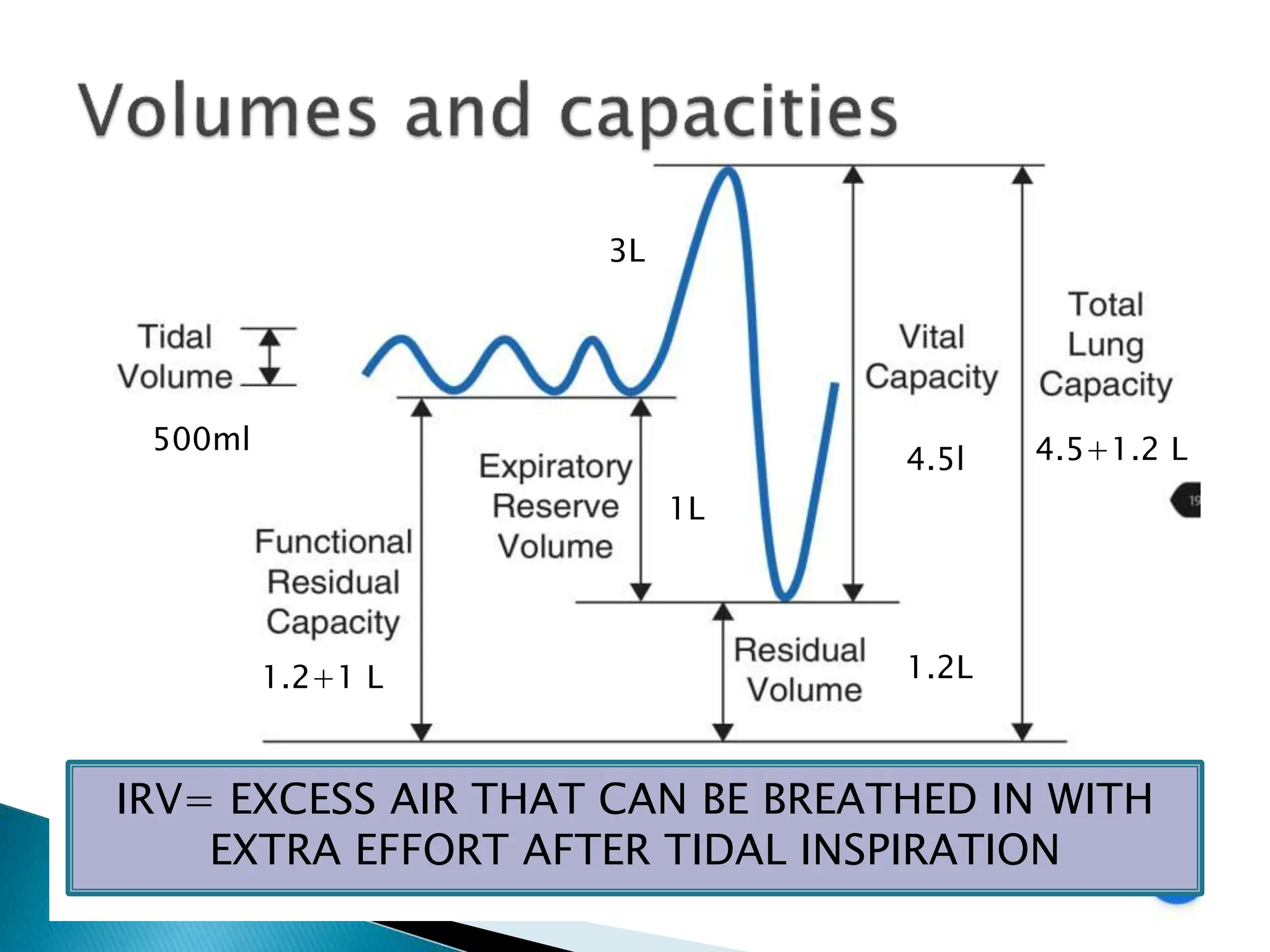 500ml
4.5l
1.2+1 L 1.2L
1L
4.5+1.2 L
3L
IRV= EXCESS AIR THAT CAN BE BREATHED IN WITH
EXTRA EFFORT AFTER TIDAL INSPIRATION
 