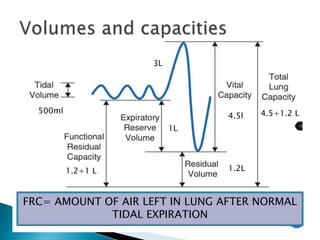 500ml
4.5l
1.2+1 L 1.2L
1L
4.5+1.2 L
3L
FRC= AMOUNT OF AIR LEFT IN LUNG AFTER NORMAL
TIDAL EXPIRATION
 
