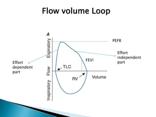 Flow volume Loop
FEV!
Effort
dependent
part
Effort
independent
part
PEFR
 