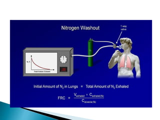 Pulmonary Function Test interpetation ppt