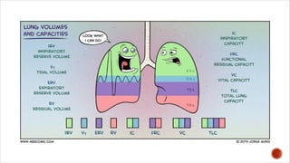 Clinical pharmacy Pulmonary function                                                       test(1).pdf
