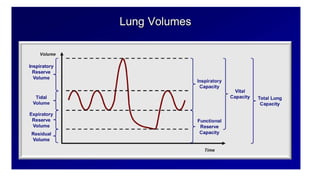 Pulmonary Function Test Types Comprehensive Overview of Pulmonary Function Tests: Techniques and ...