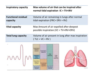 Inspiratory capacity Max volume of air that can be inspired after
normal tidal expiration IC = TV+IRV
Functional residual
capacity
Volume of air remaining in lungs after normal
tidal expiration (FRC= ERV + RV)
Vital capacity Max Amount of air expelled after deepest
possible inspiration (VC = TV+IRV+ERV)
Total lung capacity Volume of air present in lung after max inspiration
( TLC = VC + RV )
 