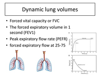 Dynamic lung volumes
• Forced vital capacity or FVC
• The forced expiratory volume in 1
second (FEV1)
• Peak expiratory flow rate (PEFR)
• forced expiratory flow at 25-75
 