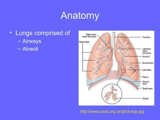 Anatomy
• Lungs comprised of
– Airways
– Alveoli

http://www.aduk.org.uk/gfx/lungs.jpg

 