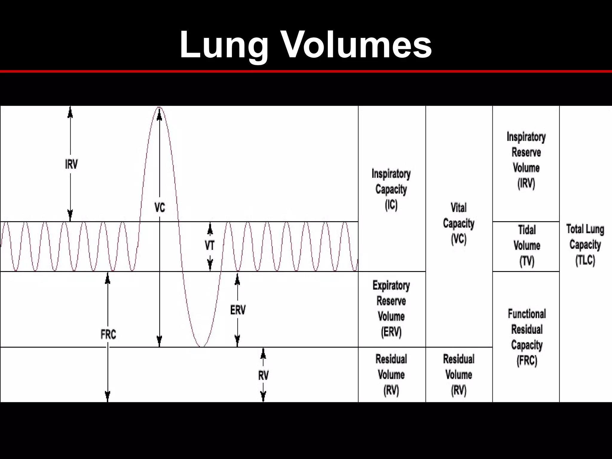 Lung Volumes
 