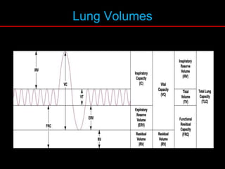 Lung Volumes
 