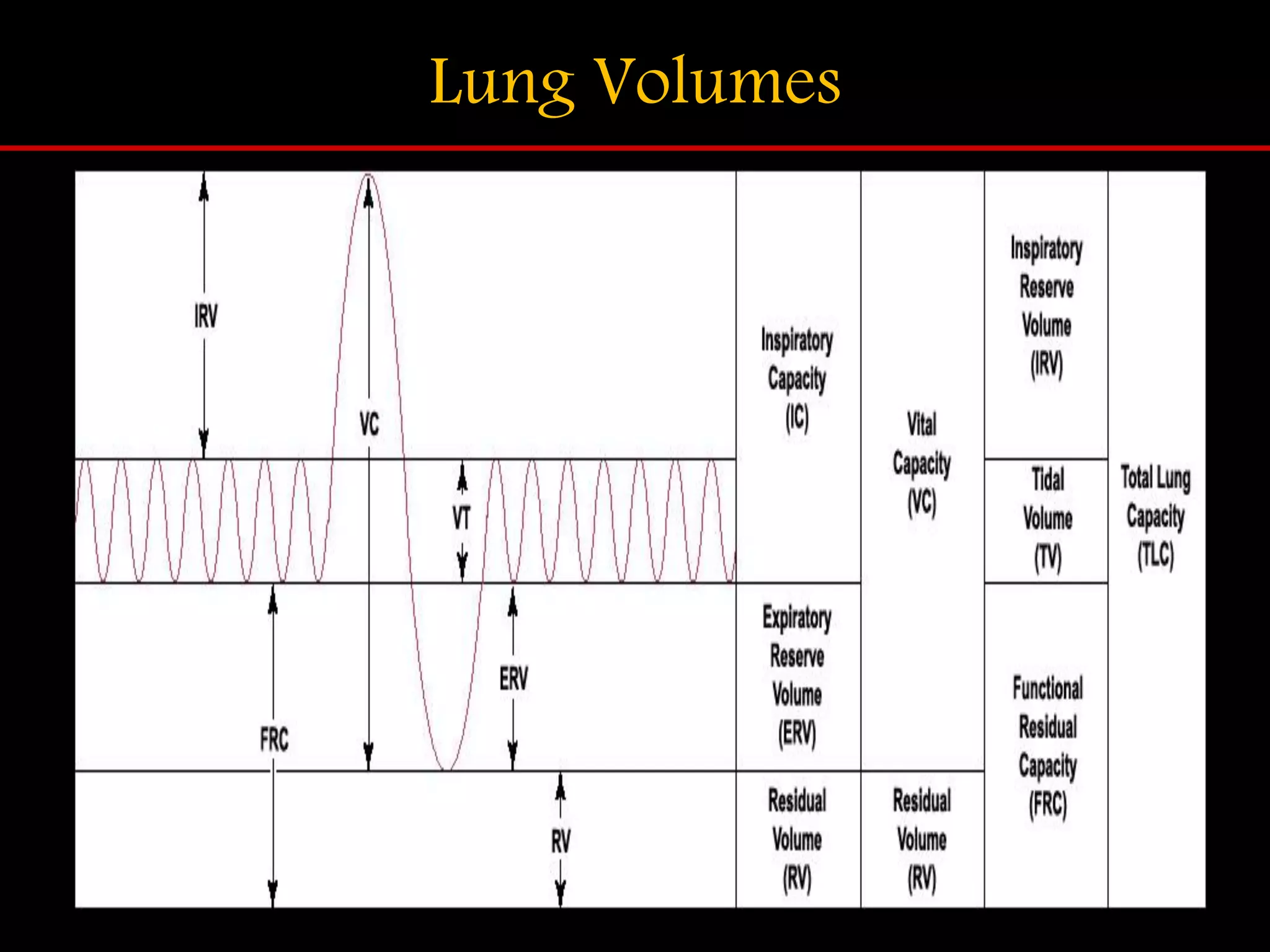 Lung Volumes
 