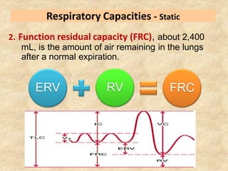 Pulmonary function testing (spirometry ) | PDF