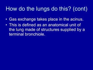How do the lungs do this? (cont) Gas exchange takes place in the acinus. This is defined as an anatomical unit of the lung made of structures supplied by a terminal bronchiole. 
