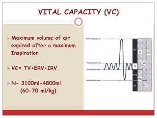 VITAL CAPACITY (VC)
 Maximum volume of air
expired after a maximum
Inspiration
 VC= TV+ERV+IRV
 N- 3100ml-4800ml
(60-70 ml/kg)
 