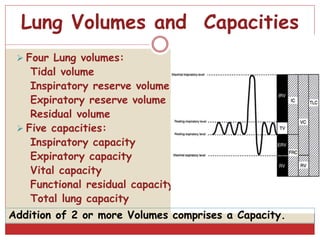 Lung Volumes and Capacities
 Four Lung volumes:
Tidal volume
Inspiratory reserve volume
Expiratory reserve volume
Residual volume
 Five capacities:
Inspiratory capacity
Expiratory capacity
Vital capacity
Functional residual capacity
Total lung capacity
Addition of 2 or more Volumes comprises a Capacity.
 