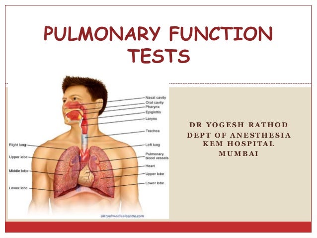 pulmonary function tests pulmonary function tests