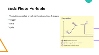 Phase Variables Pulmonary Graphics Simplified(Neonatology).pptx